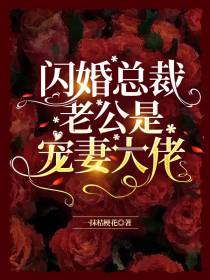 闪婚总裁老公是宠妻大佬