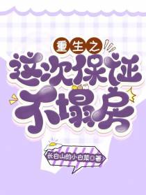 重生之这次保证不塌房