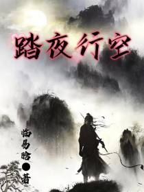 踏夜行空