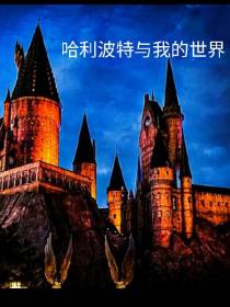 哈利波特与我的世界