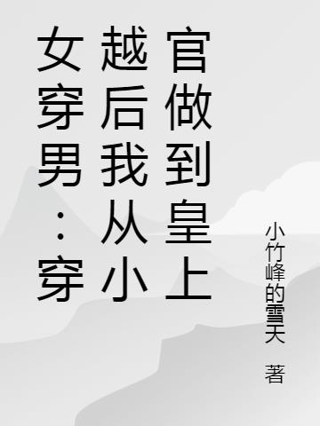 女穿男：穿越后我从小官做到皇上