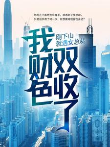 神医下山叶宁