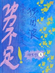 功力不足！娘娘离宫出走独自浪