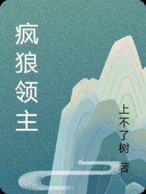 疯狼领主