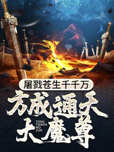 有一部小说主角是无极宗的