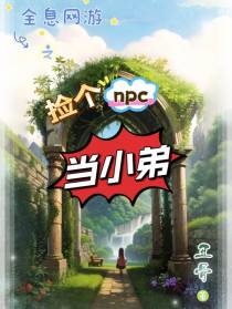 全息网游之捡个npc当小弟