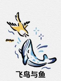 【飞鸟与鱼】