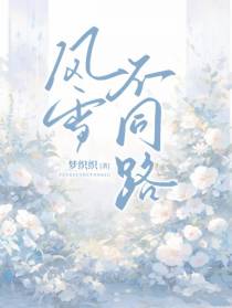 风雪不同路