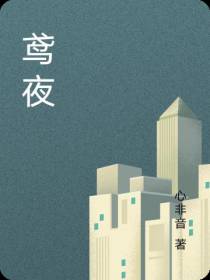 鸢夜