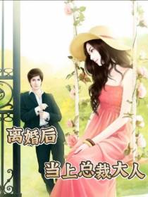 离婚后,当上总裁大人