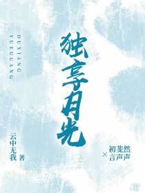 独享月光