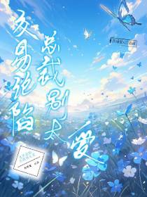 交易沦陷：总裁别太爱
