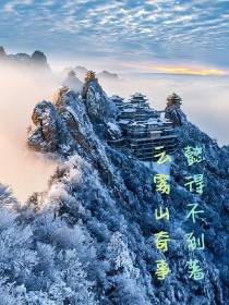 云雾山奇事