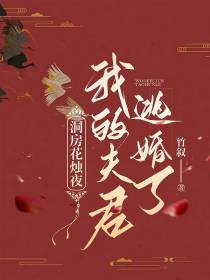 洞房花烛夜,我的夫君逃婚了