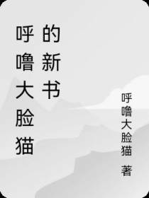 呼噜大脸猫的新书
