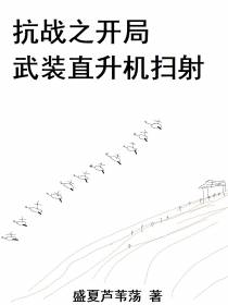 抗战之开局武装直升机扫射