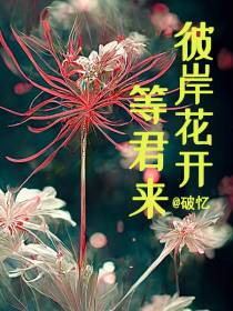 彼岸花开等君来
