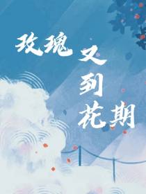 玫瑰又到花期