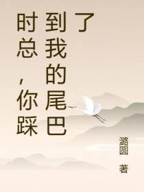 时总,你踩到我的尾巴了