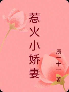 惹火小娇妻