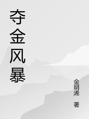 夺金风暴