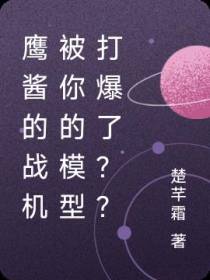 鹰酱的战机被你的模型打爆了？？