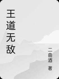 王道无敌