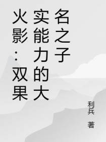 火影：双果实能力的大名之子