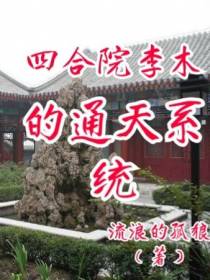 李木的通天系统