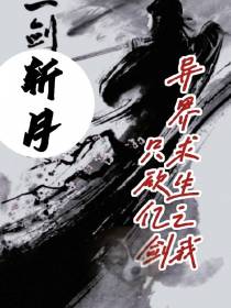 异界求生之我只砍亿剑