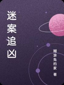 迷案追凶