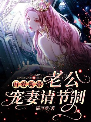 旧爱新婚：老公，宠妻请节制