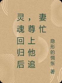 灵魂回归后,尊上他追妻忙