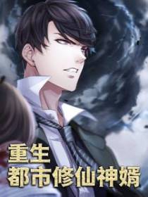 重生：都市修仙神婿