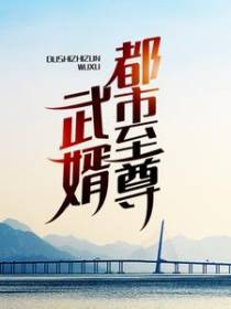 都市至尊武婿