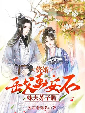 赘婿：岳父王安石,妹夫苏子瞻