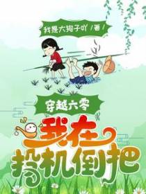 穿越六零：我在投机倒把