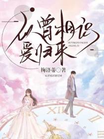 似曾相识爱归来