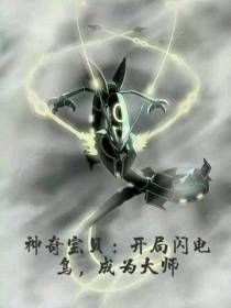 神奇宝贝：开局闪电鸟,成为大师