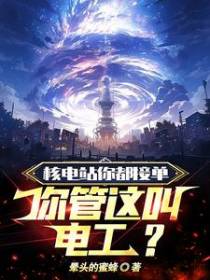 核电站你都接单，你管这叫电工？