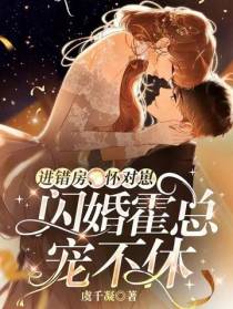 进错房,怀对崽：闪婚霍总宠不休