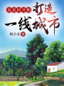从村长开始打造一线城市