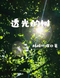 透光的树