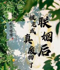 联姻后,被宠成真废物了
