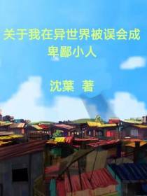 关于我在异世界被误会成卑鄙小人