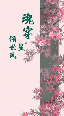 魂穿之倾世凤星
