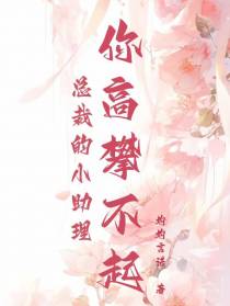 总裁的小助理你高攀不起