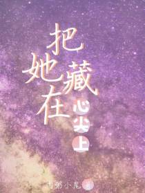 把她藏在心尖上