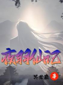 夜羽仙记