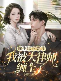 偷生试管婴儿,我被大律师缠上了